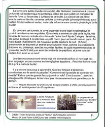   LE COIN DU PARC, 2017   , page 21