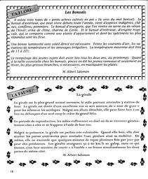   LE R�VERB�RE �CLAIR�, 2002   , page 18