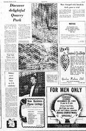 The Review Wed, December 19, 1984 (Page 21)