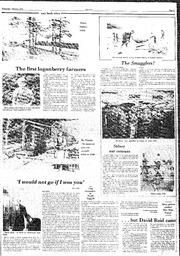 The Sidney Review Wed, March 8, 1978 (Page 13)