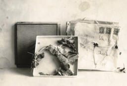 Photograph of handmade bomb: [March 1934]