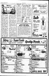The Sidney Review Wed, January 14, 1981 (Page 15)