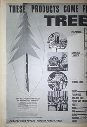   The Western Canadian Lumber Worker, Vol. XXXVI, No. 20, 2nd Issue Oct. 1967   , page 6