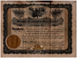 Front side of Herman Pouttu Certificate for Shares