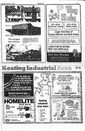 The Sidney Review Wed, November 12, 1980 (Page 13)